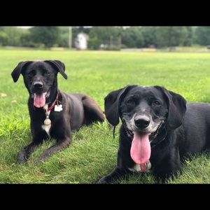 Meet your Posher, Liz